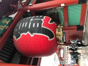 FCE237E1-1457-4BF9-9AEB-372D5048594F