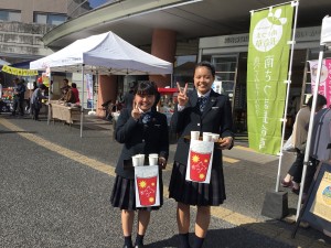 MicrosoftTeams-image (121)